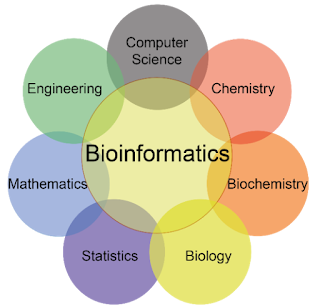 Bioinformatics industry