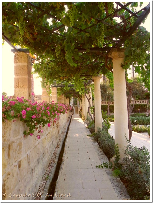 Kitchen Garden 002