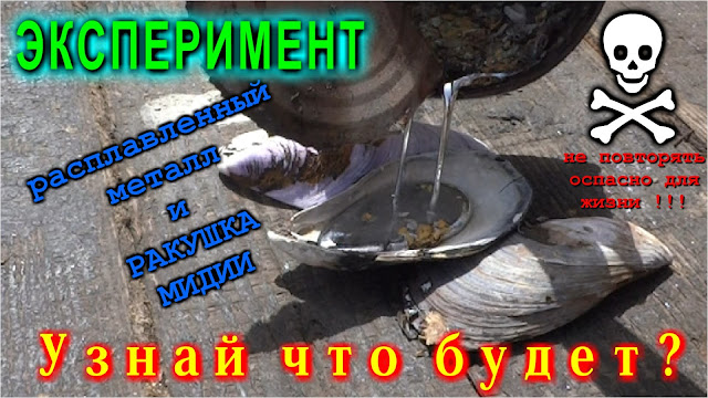  Расплавленный металл и Ракушка Мидии.