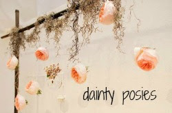 Dainty- Posies