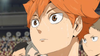 ハイキュー!! アニメ 4期 烏野高校 日向翔陽 CV.村瀬歩 Hinata Shoyo | HAIKYU!! Karasuno