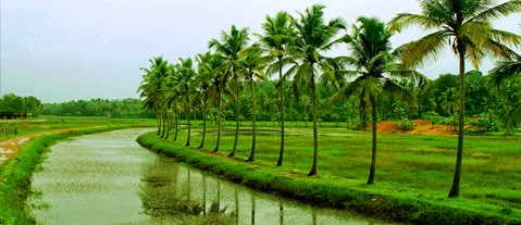 Kerala Tour Packages