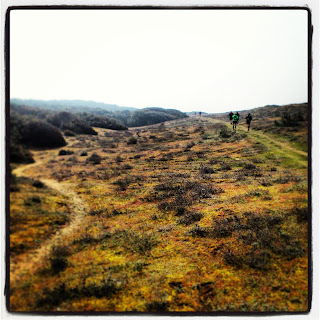 Gaplopades Tranchaises - La dune grise