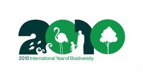 logo International Year of Biodiversity