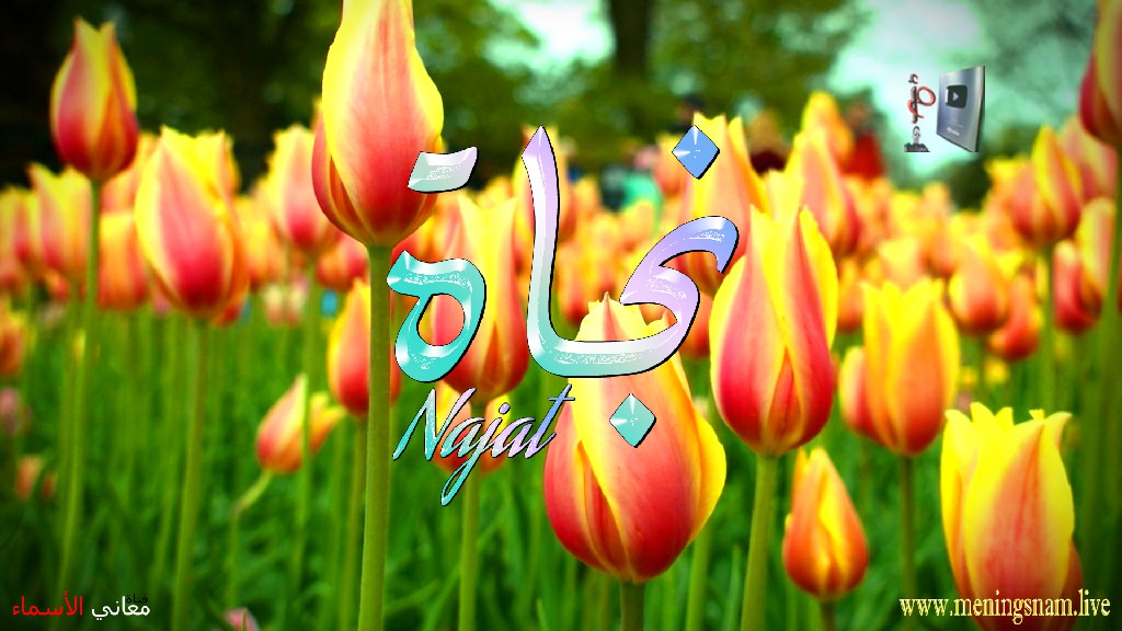 معنى اسم, نجاة, وصفات, حاملة, هذا الاسم, Najat,