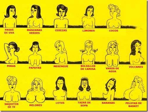 tipos_de_tetas-femeninas