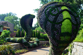 Imaginary Worlds, Cobra, Atlanta Botanical Garden