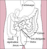 Apendicite