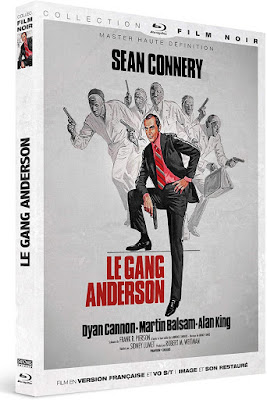 Le Gand Anderson Blu-ray CINEBLOGYWOOD