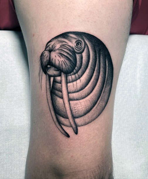 70 Inspirações Incríveis de Tatuagens de Morsa