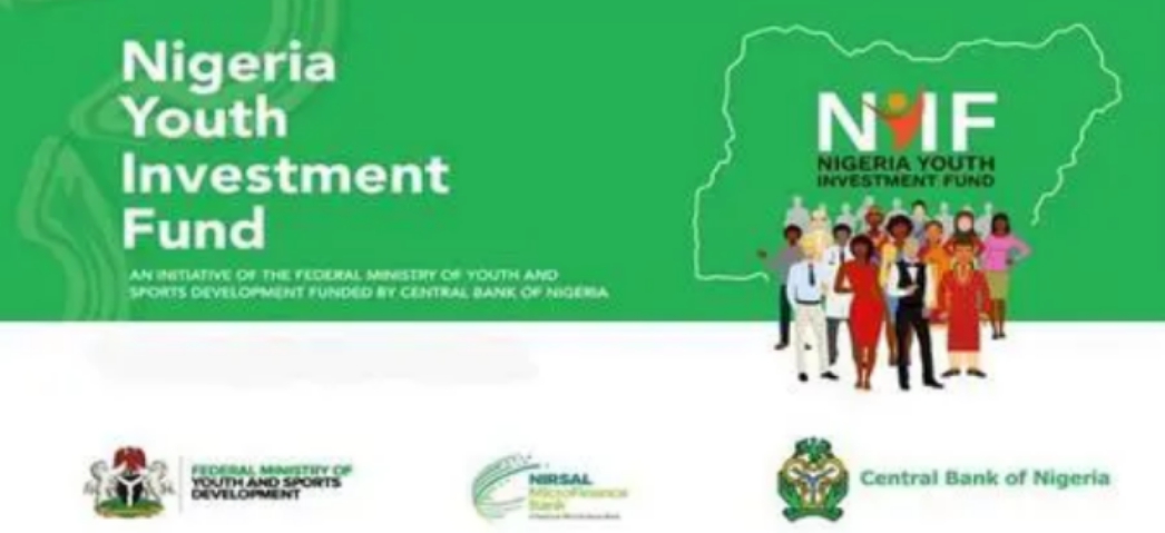 NYIF: Upgrade NYIF Portal for Completion of our Application, Nigerian Youths Beg FG