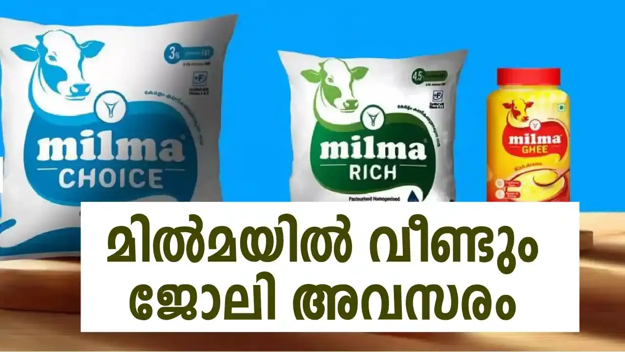 Apply for Assistant Engineer positions with Milma Recruitment 2024! Explore rewarding career opportunities in the dairy industry with Kerala's leading cooperative. Don't miss out on this chance to advance your engineering career.