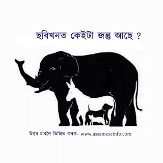 Assamese Puzzle For Whatsapp