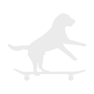 Dog Design PNG 21