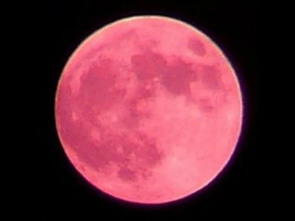 গোলাপি চাঁদ ছবি - গোলাপি চাঁদ পিকচার  - গোলাপি চাঁদ ফটো - pink moon pic - insightflowblog.com - Image no 18