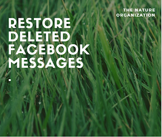 Retrieve Facebook Messages