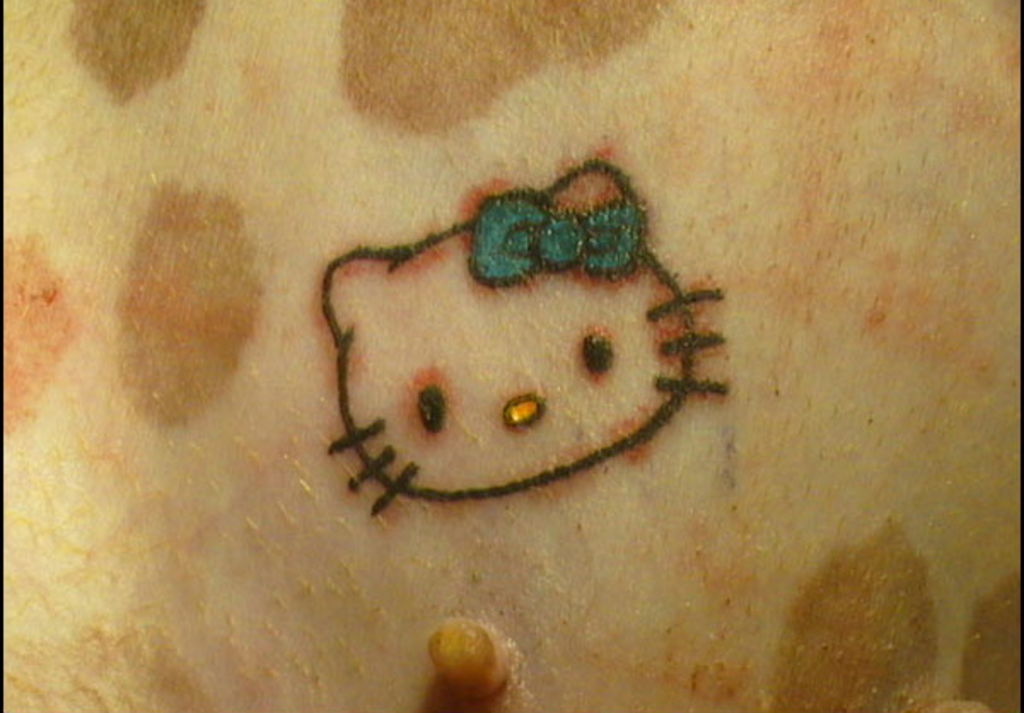 this Hello Kitty tattoo is actually on the belly of a dog