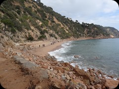 DSC07792
