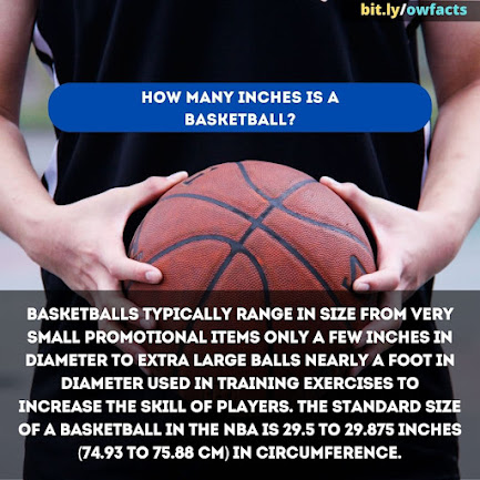 WTF Fun Fact - How Many Inches Is a Basketball?