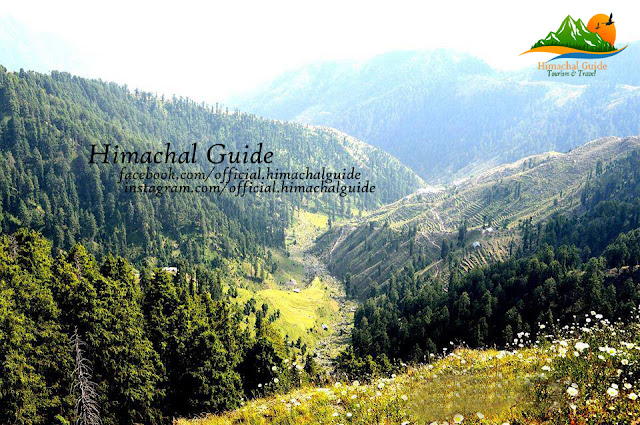 Dainkund Hill - Dalhousie - Himachal Guide