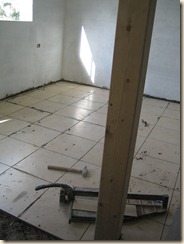 2010_2_2 005