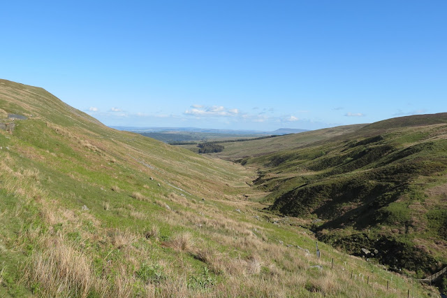 A view down the valley created by the River Hodder to a small plantation in the distance.