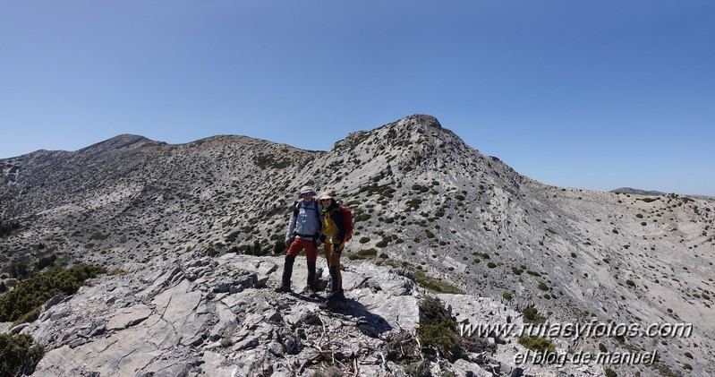 Puerto Corona-Oreganeros-Torrecilla-Atalayas