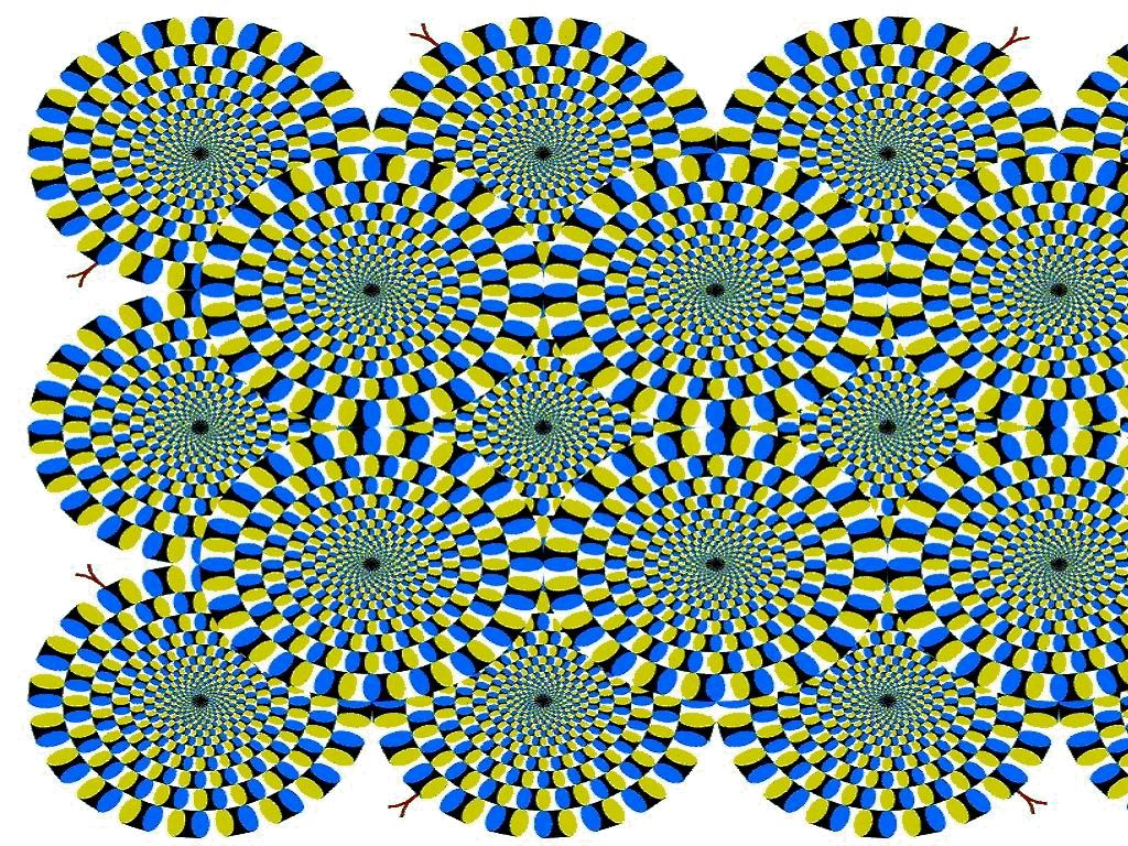Seeing Things: Optical Illusion