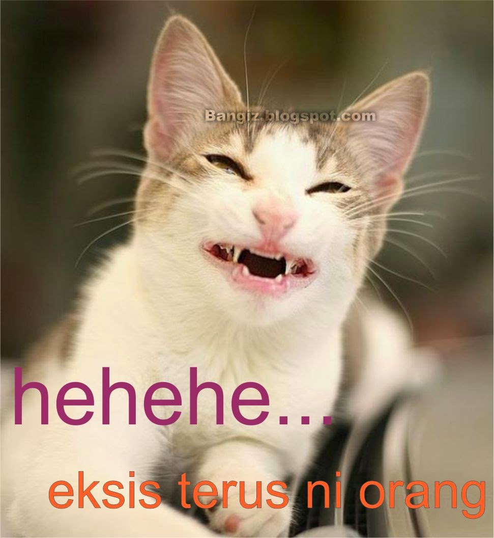 Koleksi Gambar Meme Kucing Sedih Kantor Meme