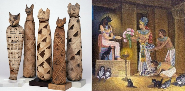 Di Mesir kuno, orang mencukur alis mereka untuk meratapi kucing mereka