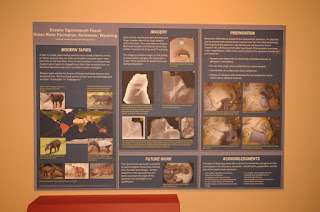 tapiromorph exhibit, Wyoming State Museum