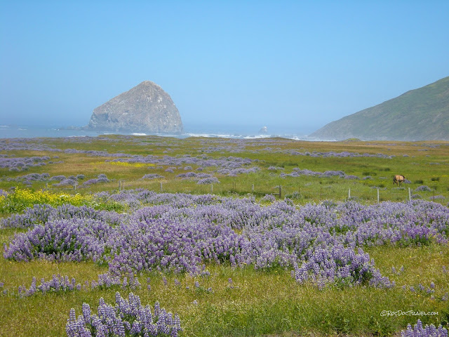 northern California coast geology tectonics san andreas travel field trip Ferndale Petrolia Cape Mendocino Punta Gorda copyright rocdoctravel.com