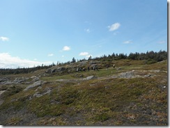 DSCF0440
