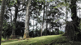 candi, candicangkuang, pemandangan, lowbudgettravel, garut, wisatagarut