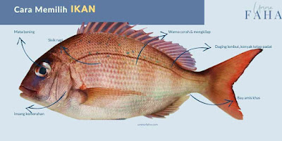 Pilih ikan segar