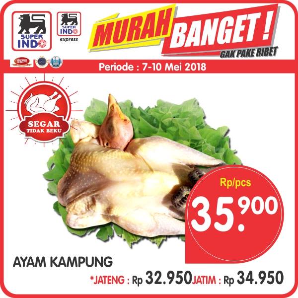 PROMO! Ayam Kampung