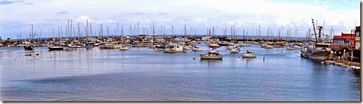 1 pan of docks