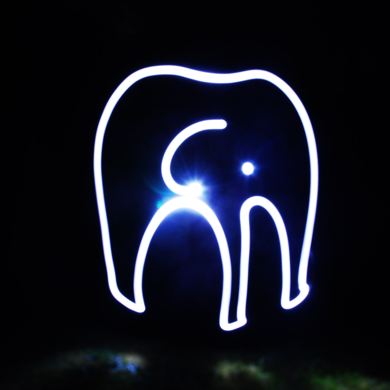 16 elephant lumi¨re