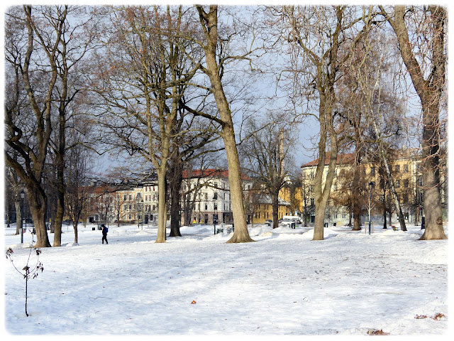 Sofienbergparken i Bydel Grünerløkka i Oslo.