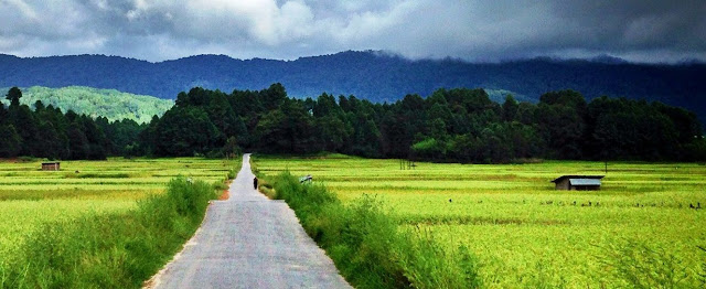 Ziro valley of arunachal