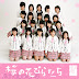 AKB48 1st Single Sakura no Hanabiratachi (桜の花びらたち)