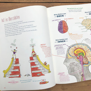 Das Hotel zum Oberstübchen - Ein lustiges Kinderbuch über das menschliche Gehirn