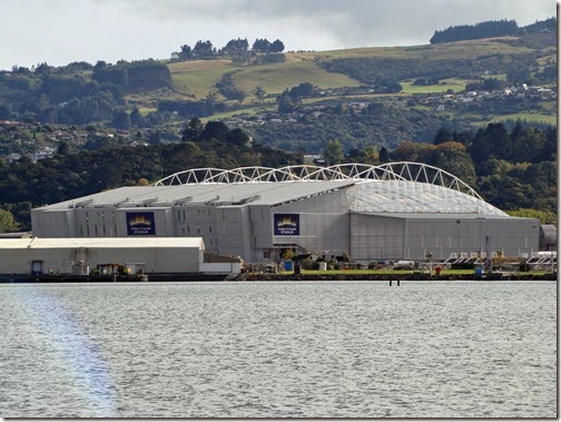 dunedin8
