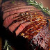 Smoked London Broil Recipe: A Guide to Preparing a Delicious and Flavorful Dish