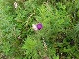 090808_RIMG0344R7