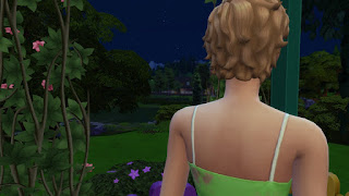 https://meryanes-sims.blogspot.com/p/fae-11.html