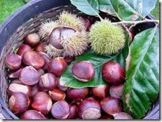 chestnuts