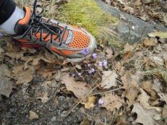 20100417-DSCN0708