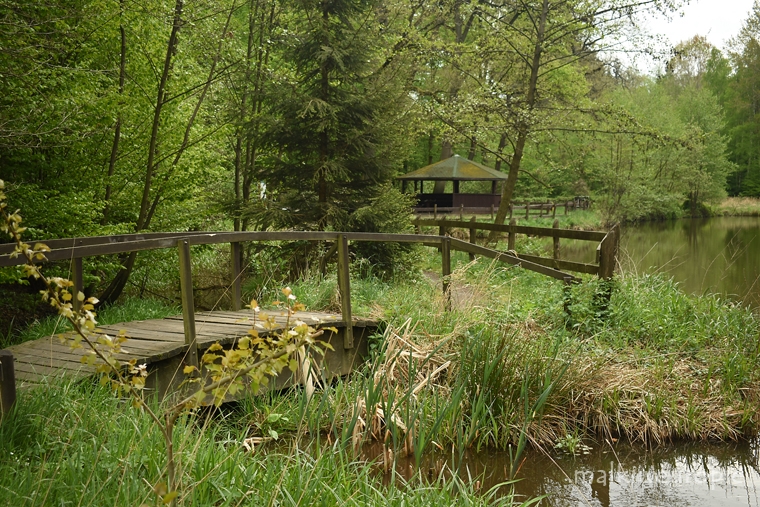 Dolina Baryczy - Ścieżka Przyrodnicza Karłów - Wałkowa