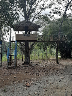 rumah pohon yang masih tersisa